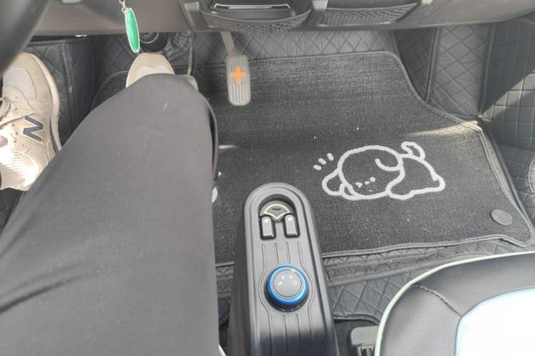 Used Wuling Hongguang MINIEV 2020 Enjoyment Model Lithium Iron Phosphate Gear Lever