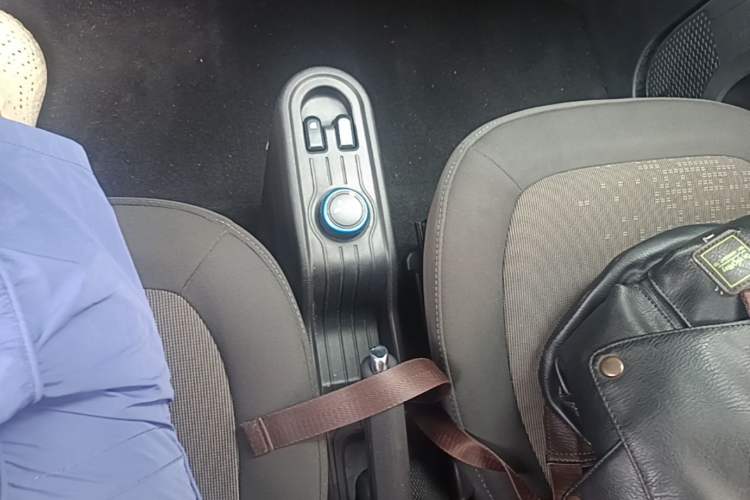 Used Wuling Hongguang MINIEV 2020 Easy Version Lithium-Ion Battery Gear Lever