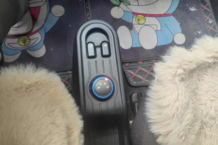 Used Wuling Hongguang MINIEV 2020 Enjoyment Model Lithium Iron Phosphate Gear Lever