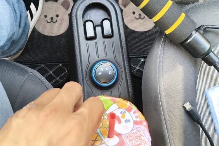 Used Wuling Hongguang MINIEV 2020 Enjoy Edition Lithium-Ion Battery Gear Lever