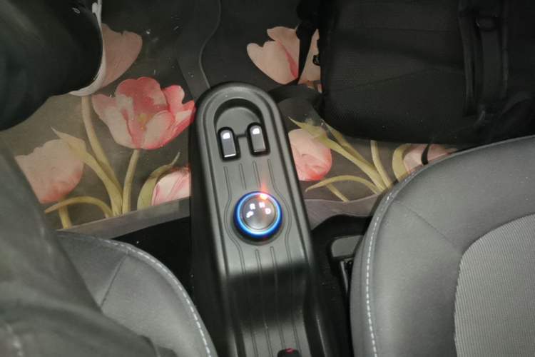 Used Wuling Hongguang MINIEV 2020 Enjoyment Model Lithium Iron Phosphate Gear Lever