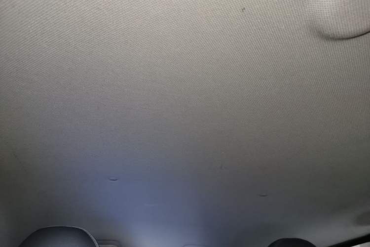 Used Wuling Hongguang MINIEV 2020 Enjoyment Model Lithium Iron Phosphate Headliner