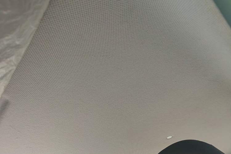 Used Wuling Hongguang MINIEV 2020 Freedom Version Lithium Iron Phosphate Headliner