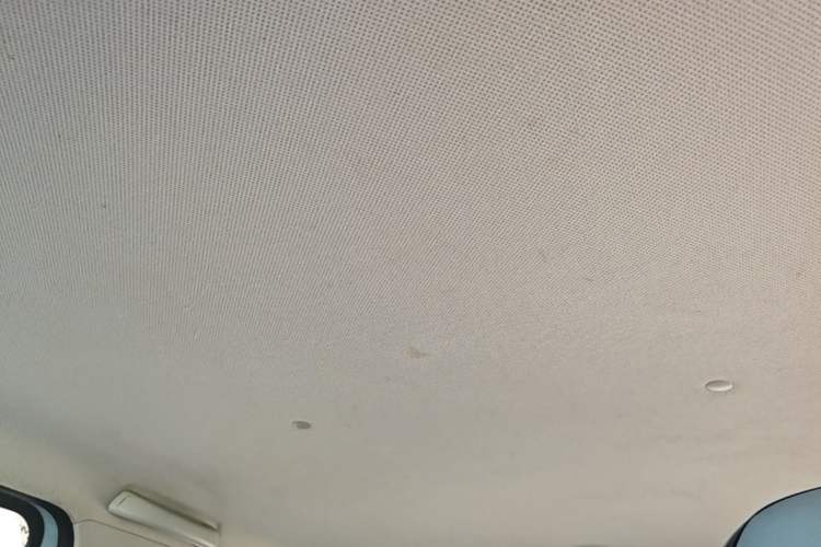 Used Wuling Hongguang MINIEV 2020 Freedom Version Lithium Iron Phosphate Headliner