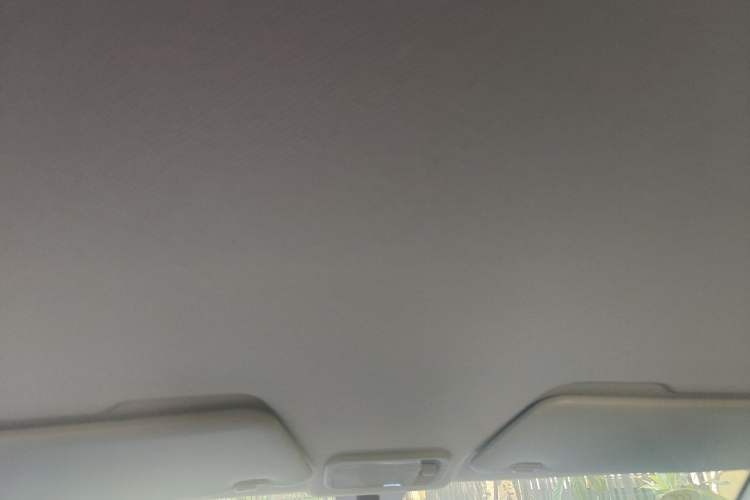 Used Wuling Hongguang MINIEV 2020 Enjoyment Model Lithium Iron Phosphate Headliner