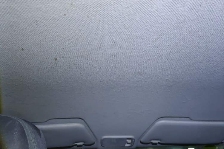 Used Wuling Hongguang MINIEV 2020 Freedom Version Lithium Iron Phosphate Headliner