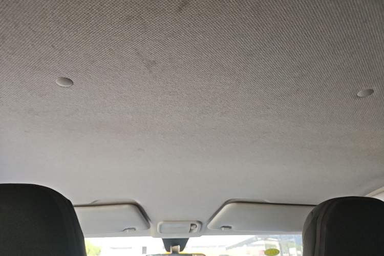 Used Wuling Hongguang MINIEV 2020 Freedom Version Lithium Iron Phosphate Headliner