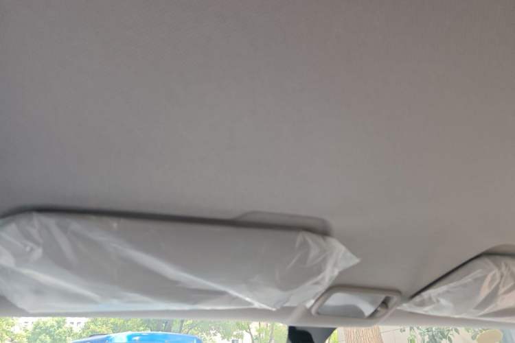 Used Wuling Hongguang MINIEV 2020 Enjoyment Model Lithium Iron Phosphate Headliner