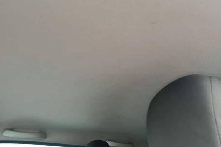 Used Wuling Hongguang MINIEV 2020 Enjoyment Model Lithium Iron Phosphate Headliner