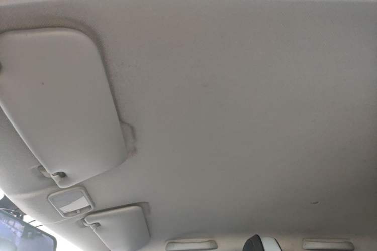 Used Wuling Hongguang MINIEV 2020 Freedom Version Lithium Iron Phosphate Headliner