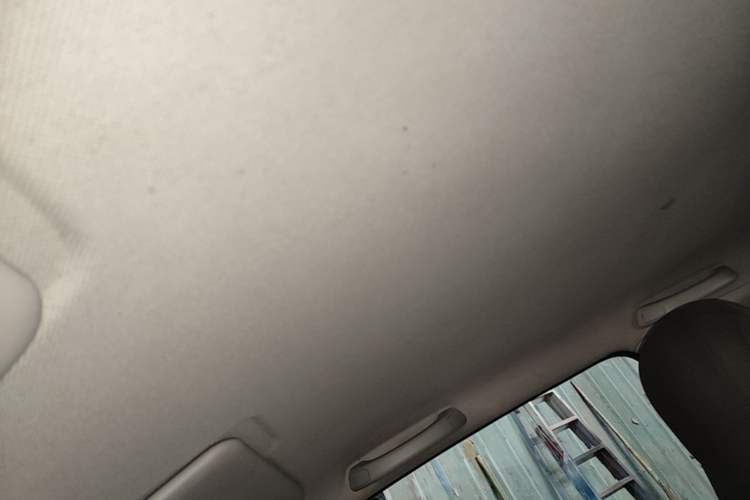 Used Wuling Hongguang MINIEV 2020 Freedom Version Lithium Iron Phosphate Headliner
