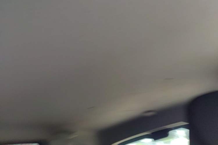 Used Wuling Hongguang MINIEV 2020 Freedom Version Lithium Iron Phosphate Headliner