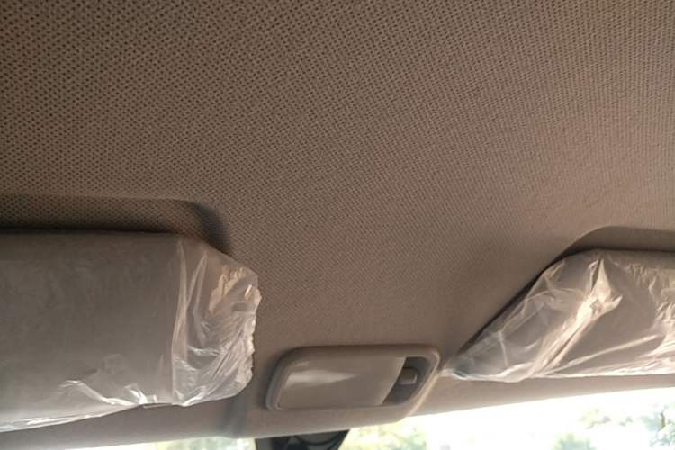 Used Wuling Hongguang MINIEV 2020 Enjoyment Model Lithium Iron Phosphate Headliner