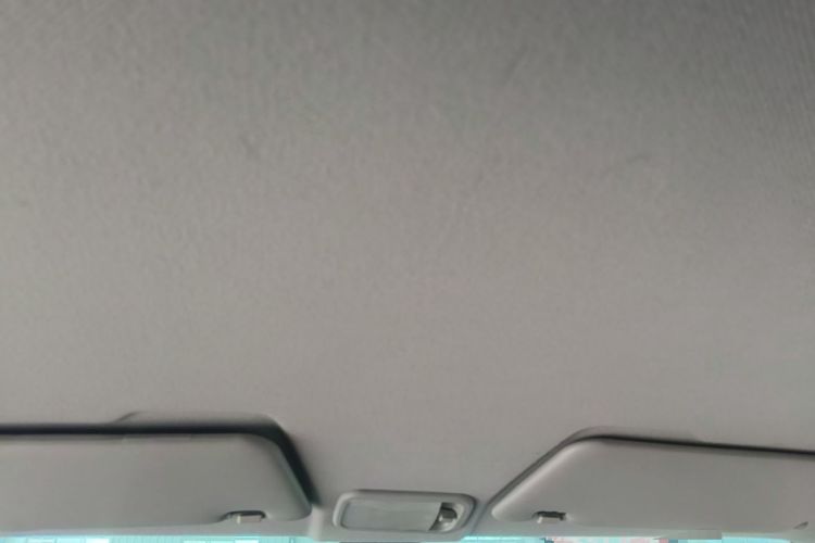 Used Wuling Hongguang MINIEV 2020 Enjoyment Model Lithium Iron Phosphate Headliner