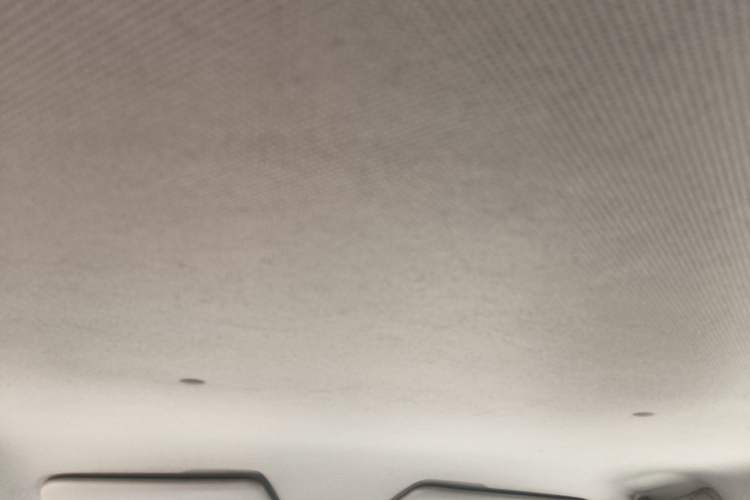 Used Wuling Hongguang MINIEV 2020 Freedom Version Lithium Iron Phosphate Headliner
