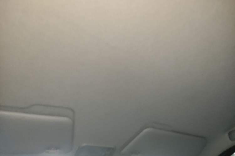 Used Wuling Hongguang MINIEV 2020 Enjoyment Model Lithium Iron Phosphate Headliner