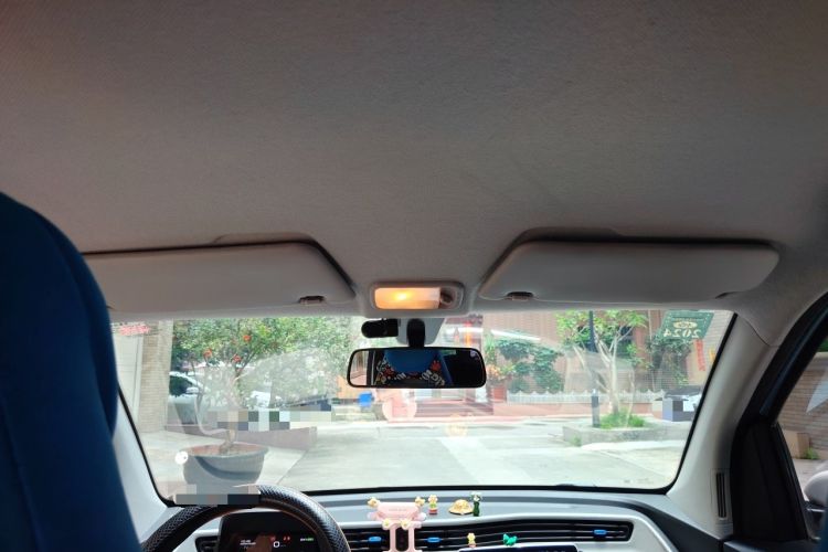 Used Wuling Hongguang MINIEV 2020 Enjoy Edition Lithium-Ion Battery Headliner