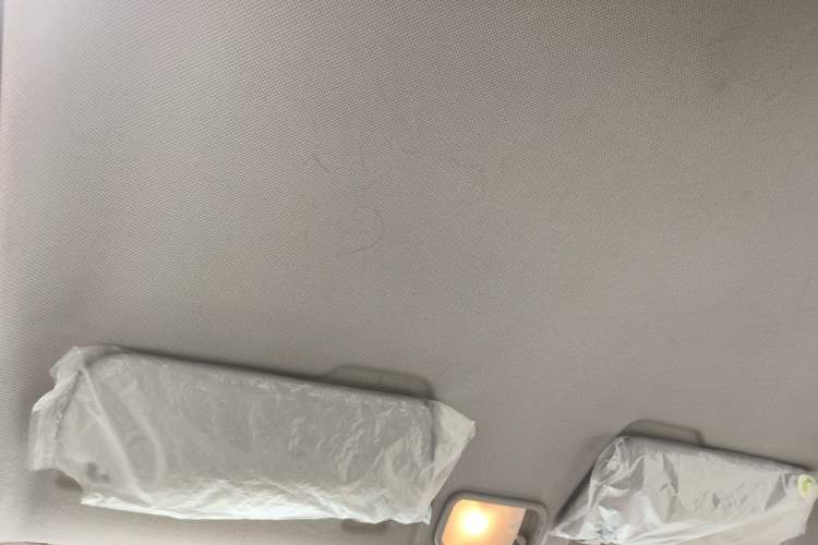 Used Wuling Hongguang MINIEV 2020 Enjoyment Model Lithium Iron Phosphate Headliner