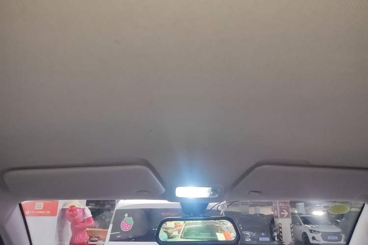 Used Wuling Hongguang MINIEV 2020 Enjoyment Model Lithium Iron Phosphate Headliner