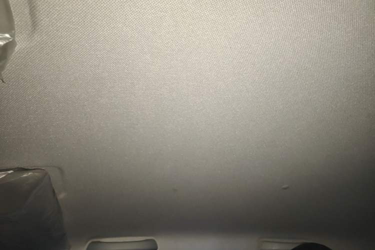 Used Wuling Hongguang MINIEV 2020 Enjoy Edition Lithium-Ion Battery Headliner