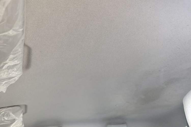 Used Wuling Hongguang MINIEV 2020 Enjoyment Model Lithium Iron Phosphate Headliner