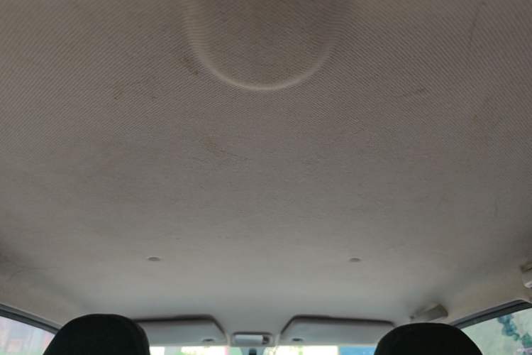 Used Wuling Hongguang MINIEV 2020 Enjoyment Model Lithium Iron Phosphate Headliner