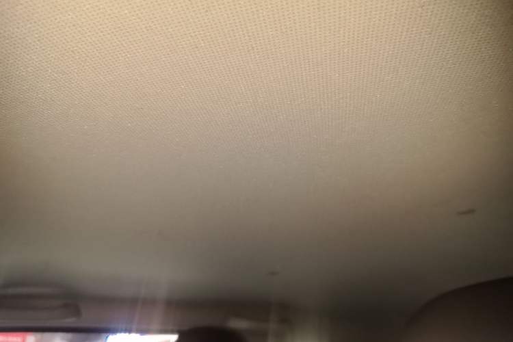 Used Wuling Hongguang MINIEV 2020 Enjoyment Model Lithium Iron Phosphate Headliner