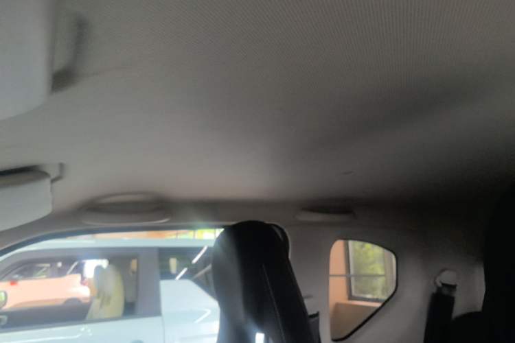 Used Wuling Hongguang MINIEV 2020 Freedom Version Lithium Iron Phosphate Headliner