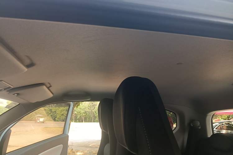 Used Wuling Hongguang MINIEV 2020 Freedom Version Lithium Iron Phosphate Headliner
