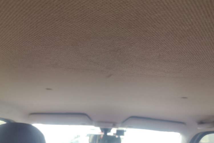 Used Wuling Hongguang MINIEV 2020 Freedom Version Lithium Iron Phosphate Headliner
