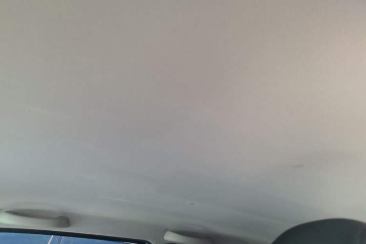 Used Wuling Hongguang MINIEV 2020 Freedom Version Lithium Iron Phosphate Headliner