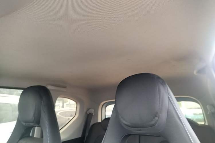 Used Wuling Hongguang MINIEV 2020 Enjoyment Model Lithium Iron Phosphate Headliner