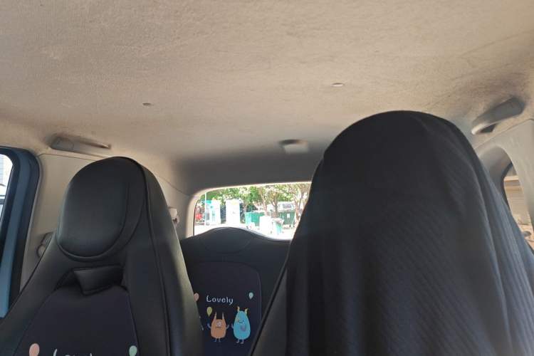 Used Wuling Hongguang MINIEV 2020 Enjoyment Model Lithium Iron Phosphate Headliner