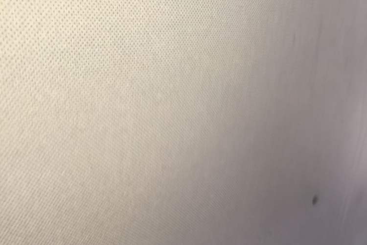 Used Wuling Hongguang MINIEV 2020 Enjoyment Model Lithium Iron Phosphate Headliner