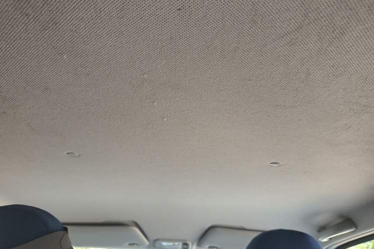 Used Wuling Hongguang MINIEV 2020 Freedom Version Lithium Iron Phosphate Headliner