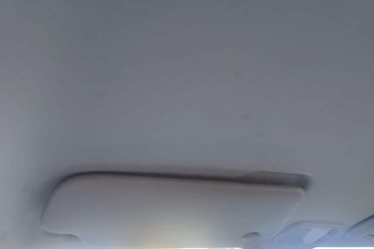 Used Wuling Hongguang MINIEV 2020 Freedom Version Lithium Iron Phosphate Headliner