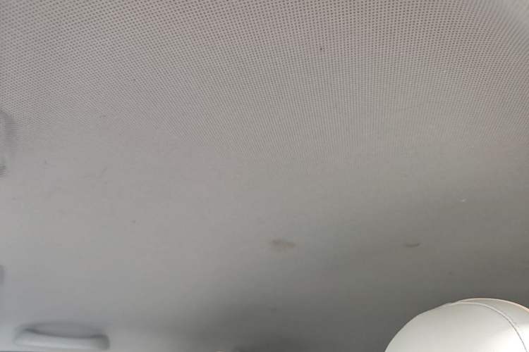 Used Wuling Hongguang MINIEV 2020 Enjoyment Model Lithium Iron Phosphate Headliner