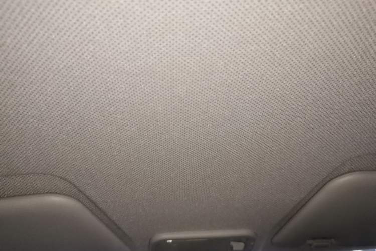 Used Wuling Hongguang MINIEV 2020 Enjoyment Model Lithium Iron Phosphate Headliner