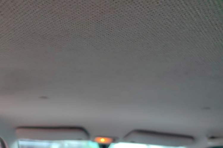 Used Wuling Hongguang MINIEV 2020 Freedom Version Lithium Iron Phosphate Headliner