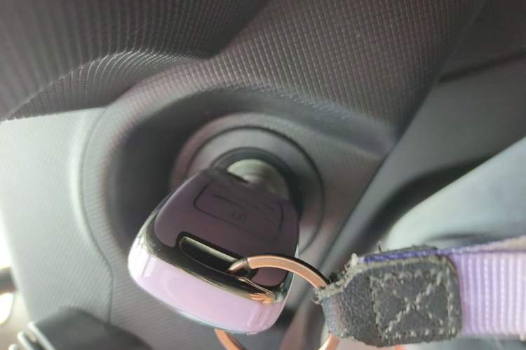 Used Wuling Hongguang MINIEV 2020 Freedom Version Lithium Iron Phosphate Interior 1