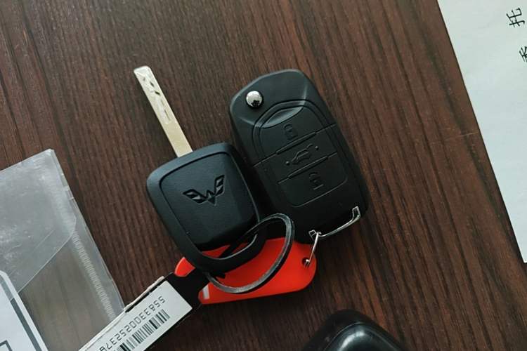 Used Wuling Hongguang MINIEV 2020 Enjoyment Model Lithium Iron Phosphate Interior 1