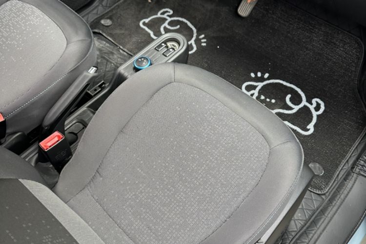 Used Wuling Hongguang MINIEV 2020 Enjoyment Model Lithium Iron Phosphate Interior 9