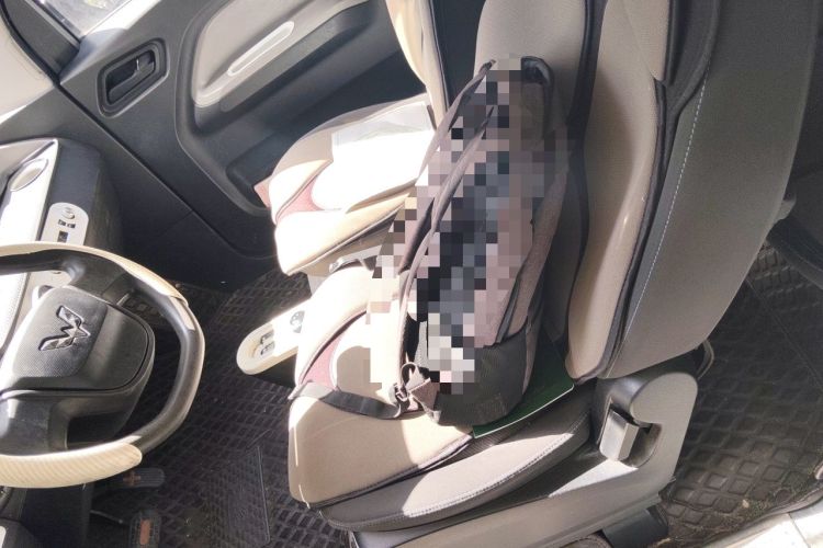 Used Wuling Hongguang MINIEV 2020 Enjoyment Model Lithium Iron Phosphate Left Front Seat