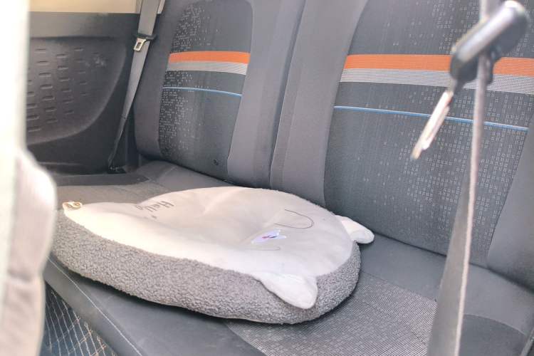 Used Wuling Hongguang MINIEV 2020 Zizai Version Lithium-NMC Left Rear Seat