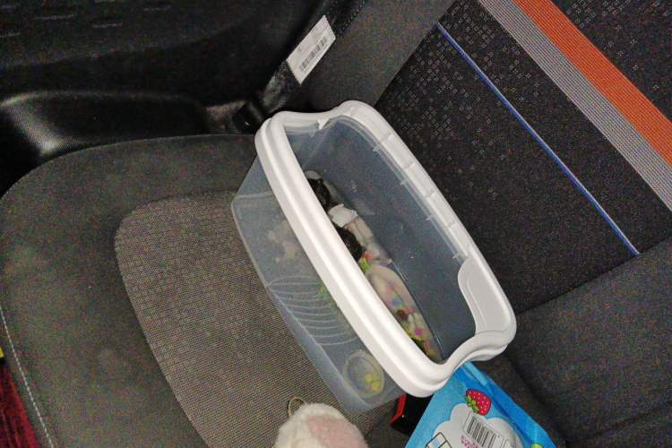 Used Wuling Hongguang MINIEV 2020 Freedom Version Lithium Iron Phosphate Left Rear Seat