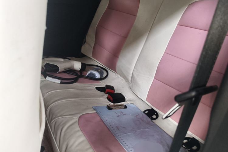 Used Wuling Hongguang MINIEV 2020 Zizai Version Lithium-NMC Left Rear Seat