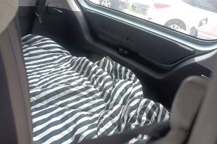 Used Wuling Hongguang MINIEV 2020 Enjoyment Model Lithium Iron Phosphate Left Rear Seat