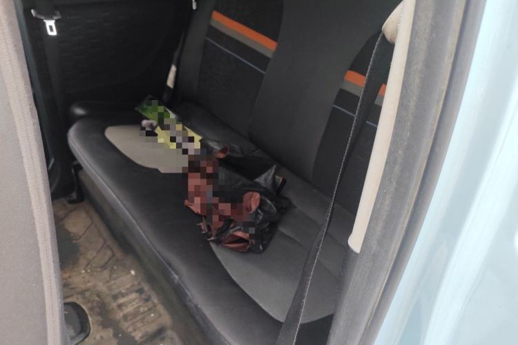 Used Wuling Hongguang MINIEV 2020 Easy Version Lithium-Ion Battery Left Rear Seat