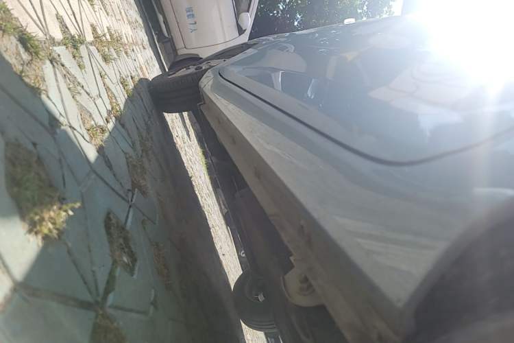 Used Wuling Hongguang MINIEV 2020 Freedom Version Lithium Iron Phosphate Left Side Sill