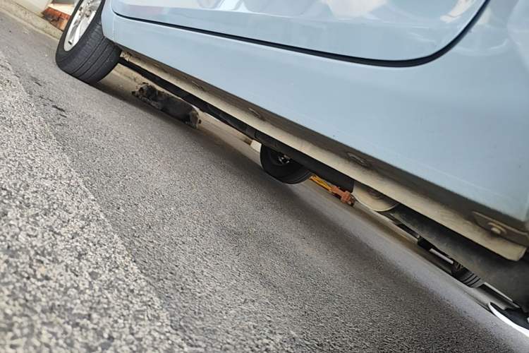 Used Wuling Hongguang MINIEV 2020 Enjoyment Model Lithium Iron Phosphate Left Side Sill